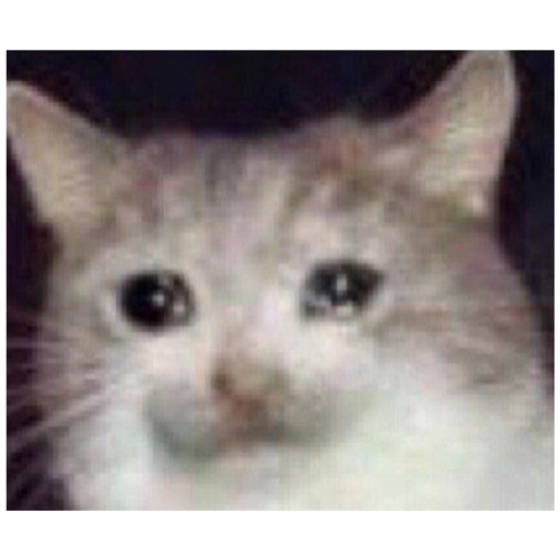 Sad Cats Only sticker 18