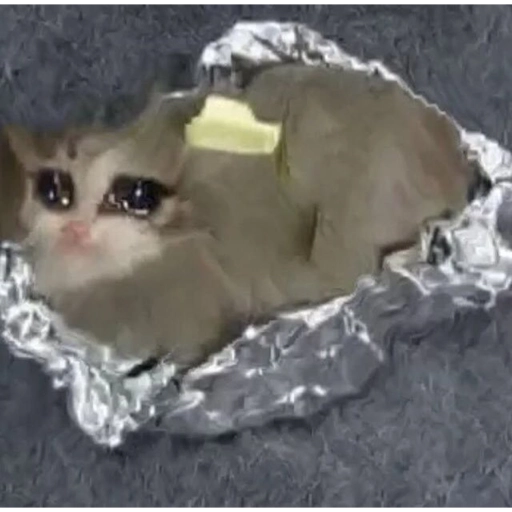 Sad Cats Only sticker 19