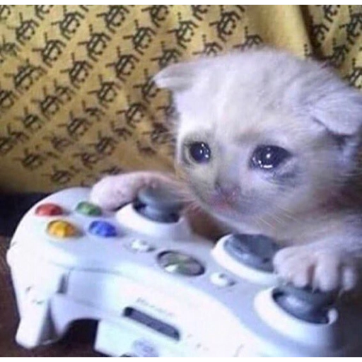 Sad Cats Only sticker 2