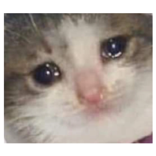 Sad Cats Only sticker 20