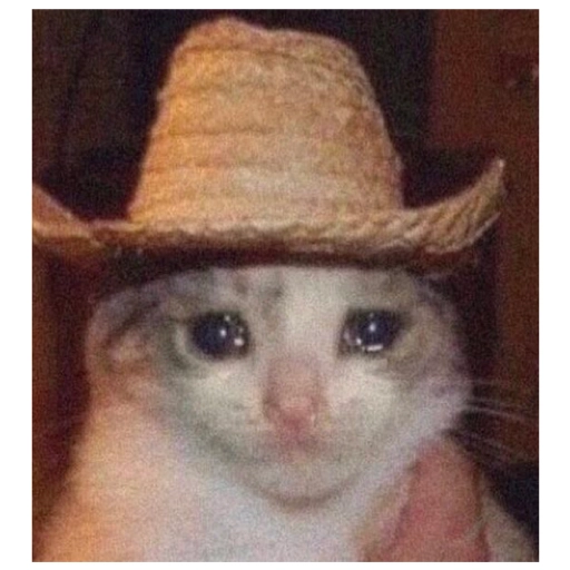 Sad Cats Only sticker 22