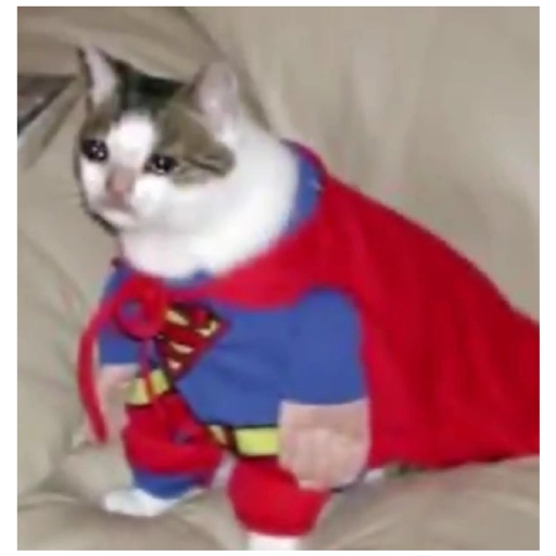 Sad Cats Only sticker 23