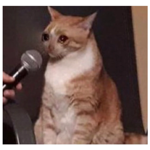 Sad Cats Only sticker 24