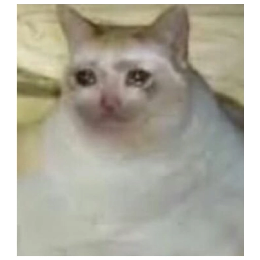 Sad Cats Only sticker 26