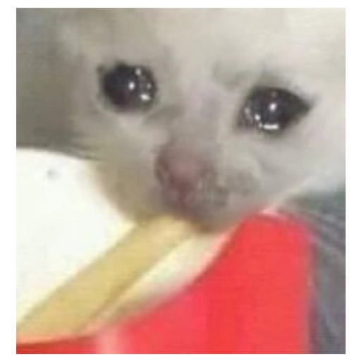 Sad Cats Only sticker 27