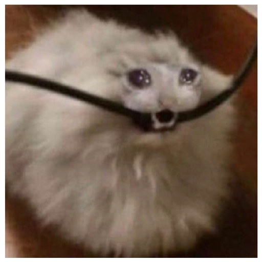 Sad Cats Only sticker 29