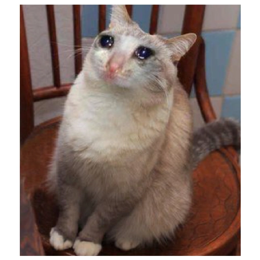 Sad Cats Only sticker 3