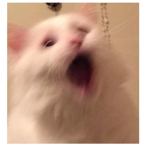 Sad Cats Only sticker 30