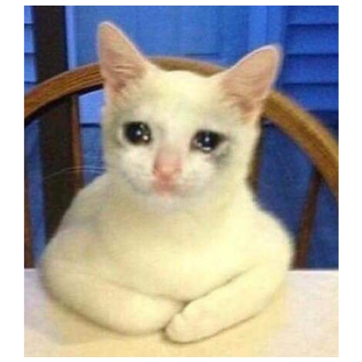 Sad Cats Only sticker 6