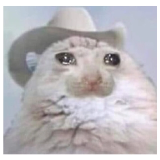 Sad Cats Only sticker 8