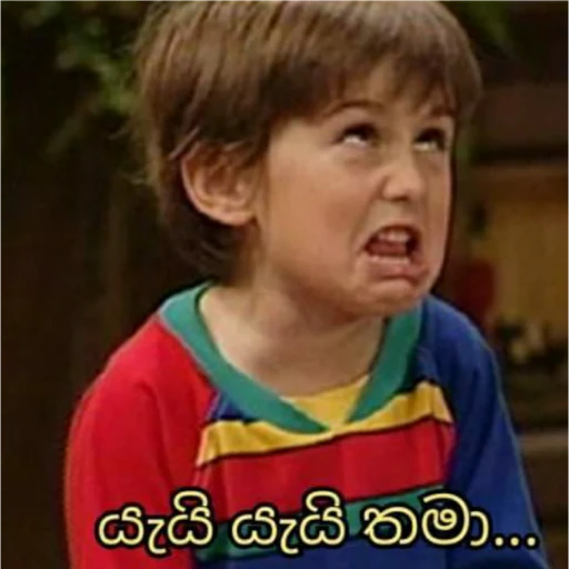 Sinhala Meme Mega Pack 8 sticker 13
