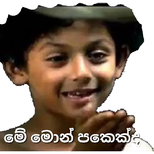 Sinhala Meme Mega Pack 8 sticker 18