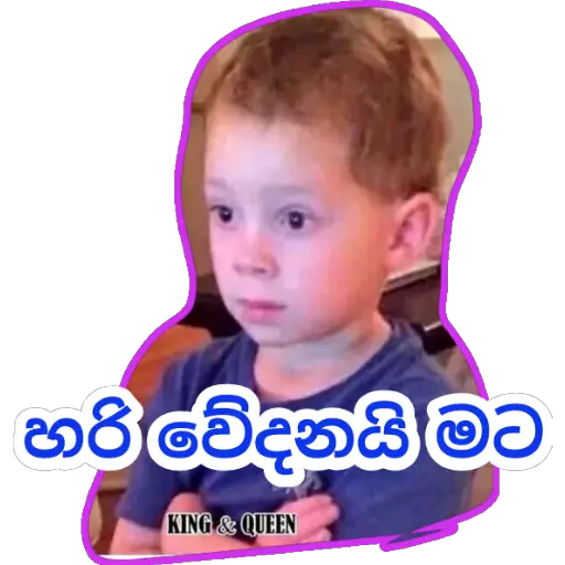Sinhala Meme Mega Pack 8 sticker 21