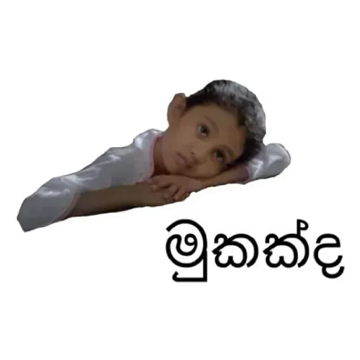 Sinhala Meme Mega Pack 8 sticker 4