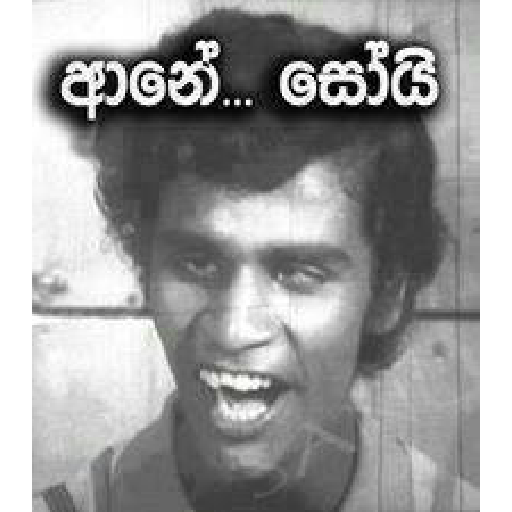 Sinhala Meme Mega Pack 1 sticker 16