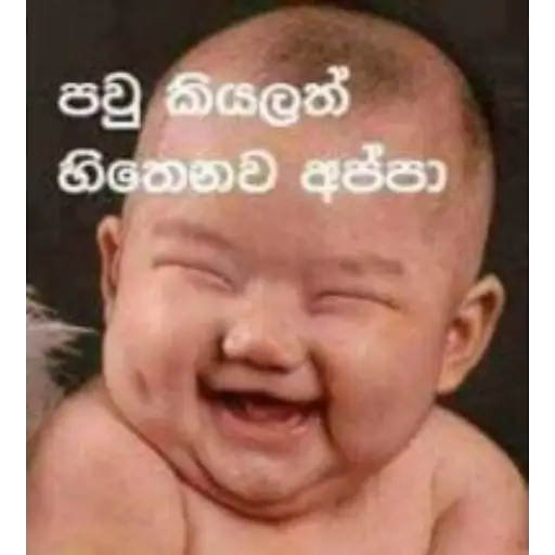 Sinhala Meme Mega Pack 1 sticker 20