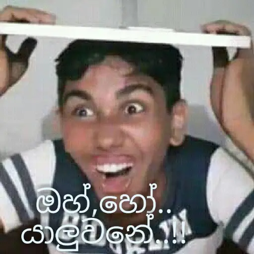 Sinhala Meme Mega Pack 6 sticker 14