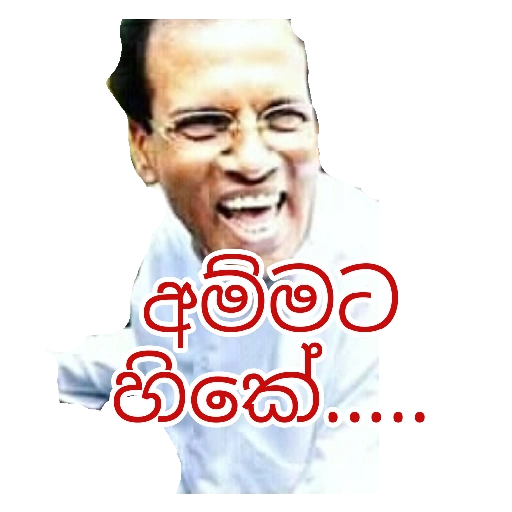 Sl poticca pack 1 sticker 15