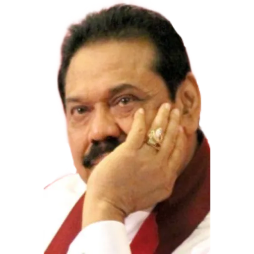 Sl poticca pack 1 sticker 16