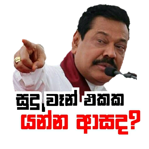 Sl poticca pack 1 sticker 17