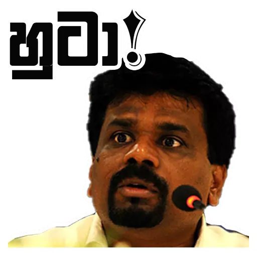 Sl poticca pack 1 sticker 22