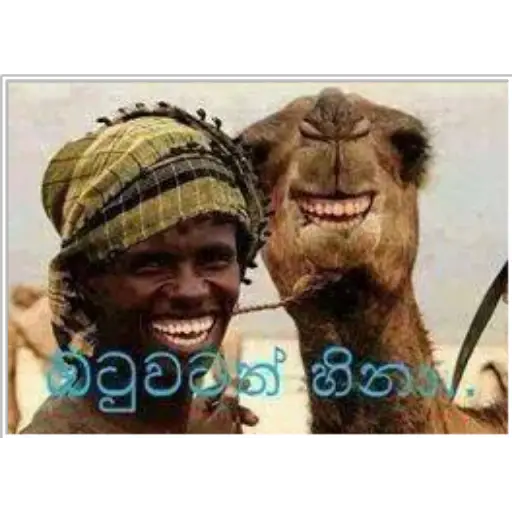 Sinhala Meme Mega Pack 2 sticker 26