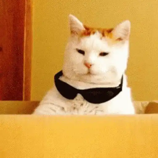 Wud U Just Luk At Dat ! sticker 14