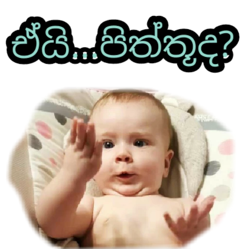 Sinhala Meme Mega Pack 4 sticker 5