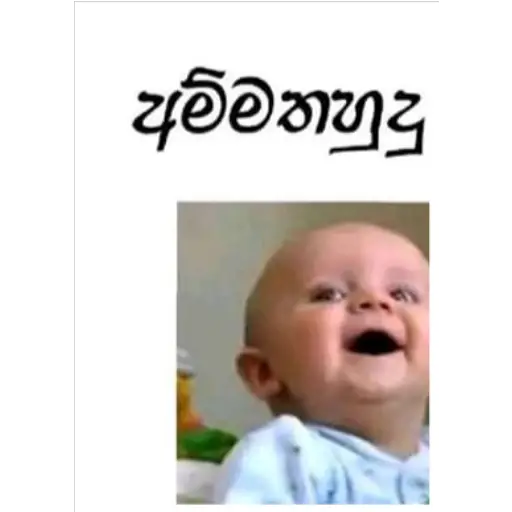 Sinhala Meme Mega Pack 4 sticker 7